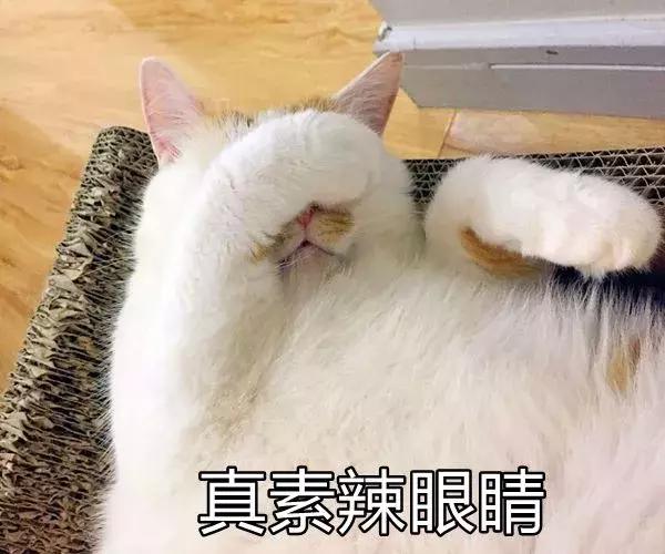 在线八字测试生男生女