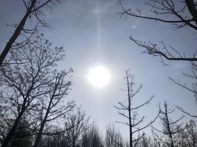 丙火日遇2022壬寅年运势视频 丙火日遇2022壬寅年运势视频