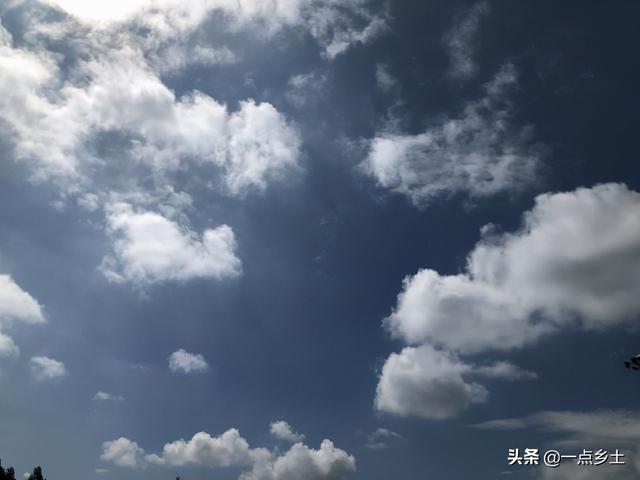 丙火日遇2022壬寅年运势视频 丙火日遇2022壬寅年运势视频