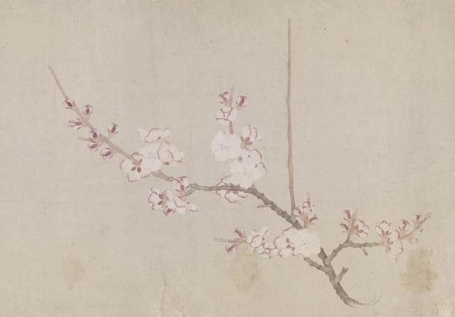 壬戌日女命富贵八字 壬戌日女命富贵八字