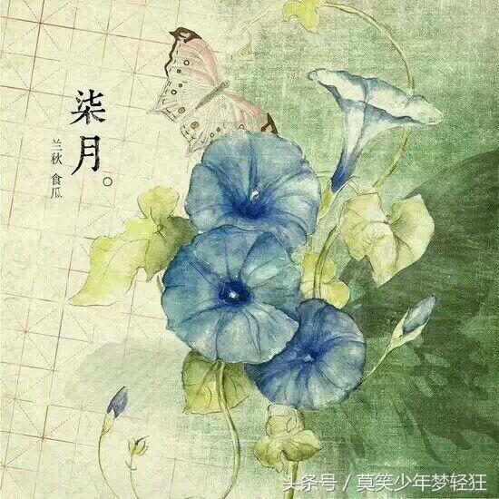 属狗的八字硬不硬