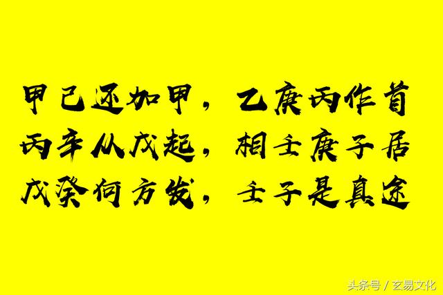 阴历1995年1月24日已时八字
