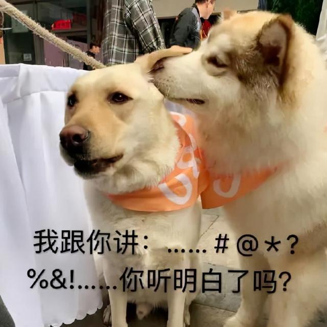 今日的八字怎么看