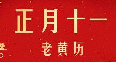 1974年12月11日八字