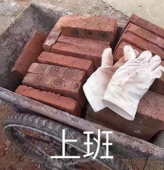 八字普及贴天涯 八字普及贴天涯