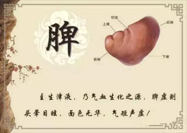 八字补肾中药成配方剂量 八字补肾中药成配方剂量