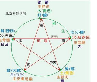五行排八字