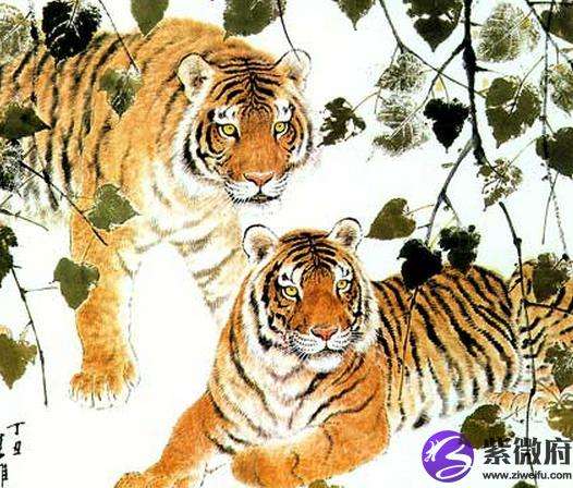 2022年虎宝宝出生月命运