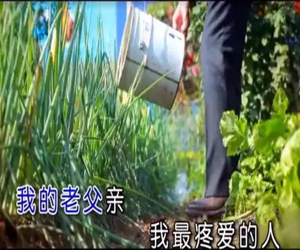 在线八字测试生男生女