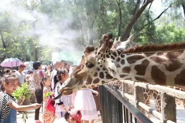 广州宝宝在线八字起名 广州宝宝在线八字起名