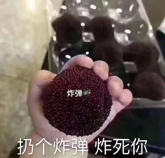 今日的八字怎么看