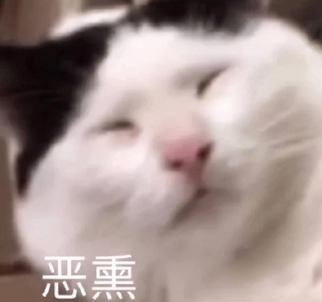八字不好我结了冥婚在线听 八字不好我结了冥婚在线听
