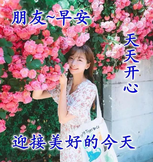 八字励志语句 八字励志语句