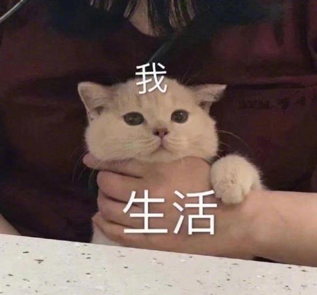 八字三斤三土 八字三斤三土