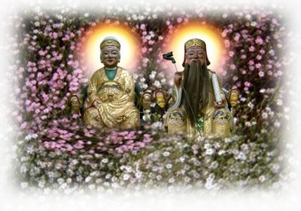 在线八字定花根