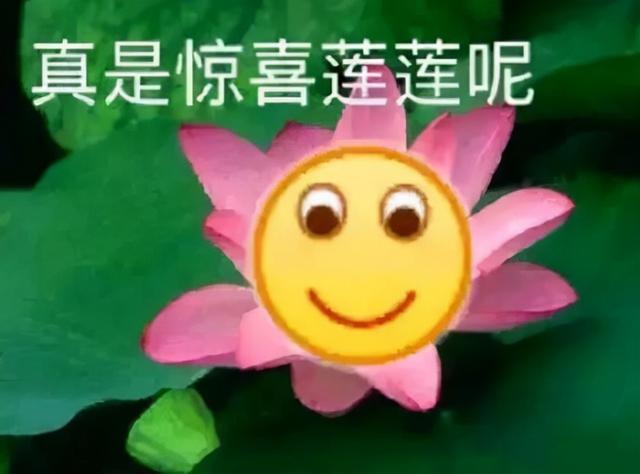 八字不好我结了冥婚在线听 八字不好我结了冥婚在线听