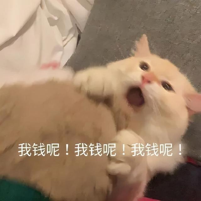 今日的八字怎么看
