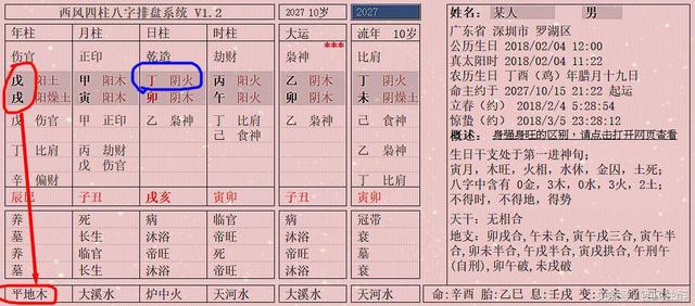 八字在线算命戊戌日出生好吗