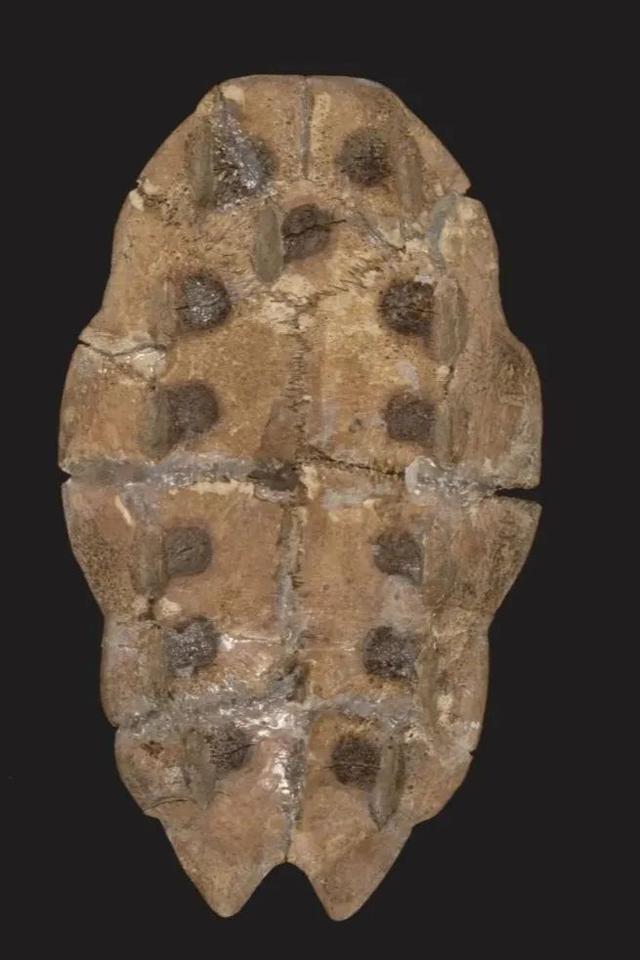 四柱八字在线算命准不准 四柱八字在线算命准不准