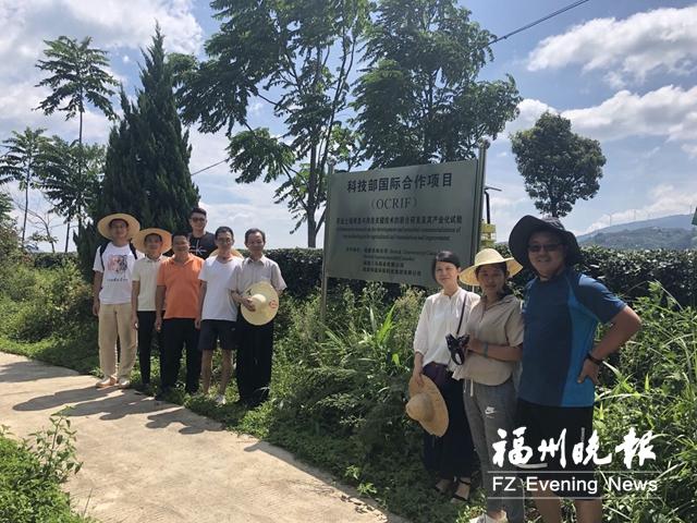 陈丹在线周易八字算命 陈丹在线周易八字算命