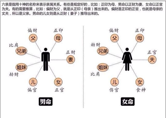 八字时干代表儿子