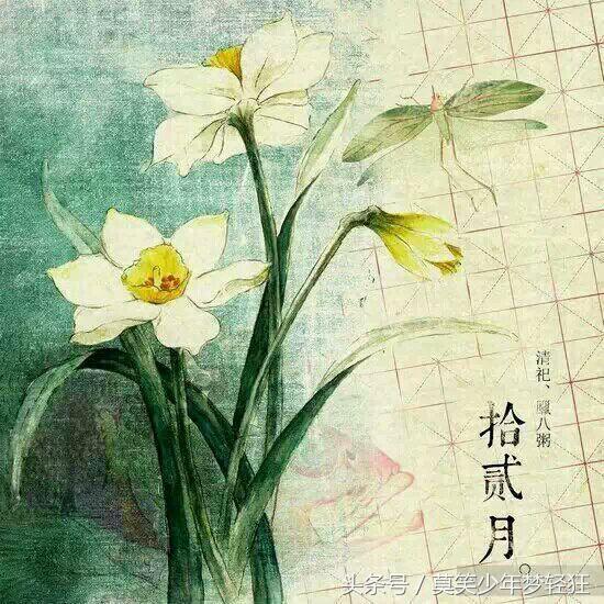 属狗的八字硬不硬