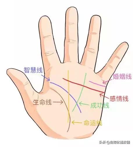 八字查性能力 八字查性能力