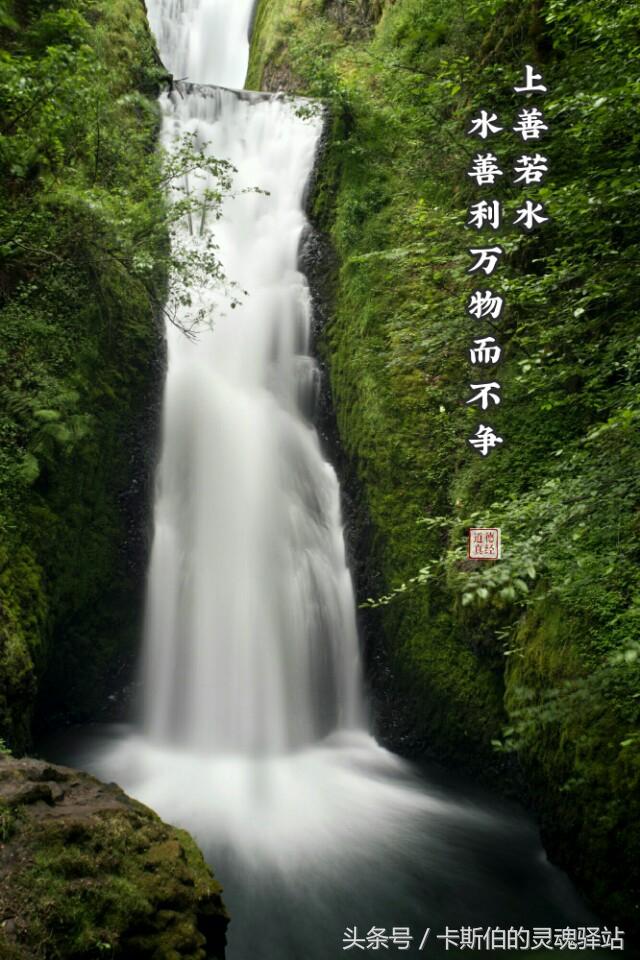 八字美言 八字美言