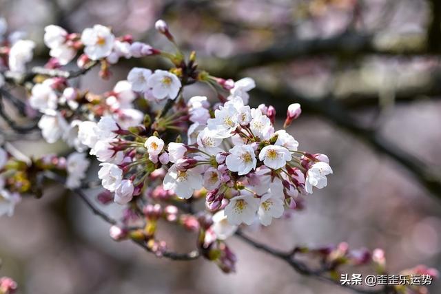 96年的女在2022年运势