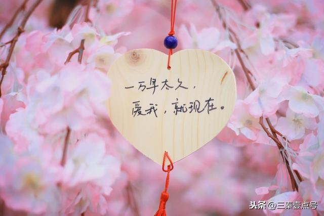 属牛2022狮子座男运势 属牛2022狮子座男运势