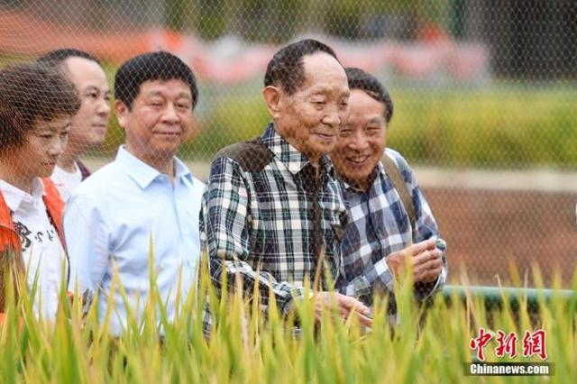 努力拼搏的八字成语有哪些