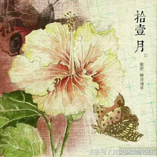 属狗的八字硬不硬