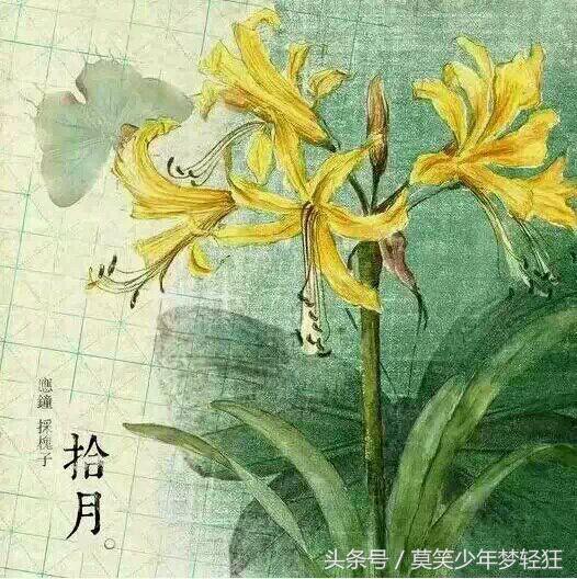 属狗的八字硬不硬