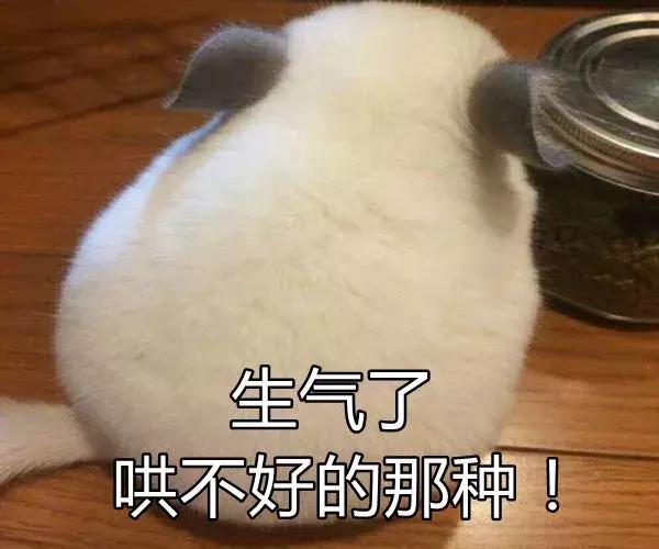 在线八字测试生男生女
