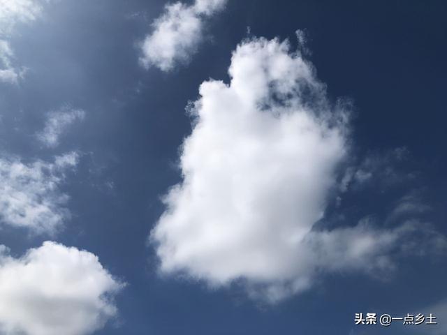 丙火日遇2022壬寅年运势视频 丙火日遇2022壬寅年运势视频