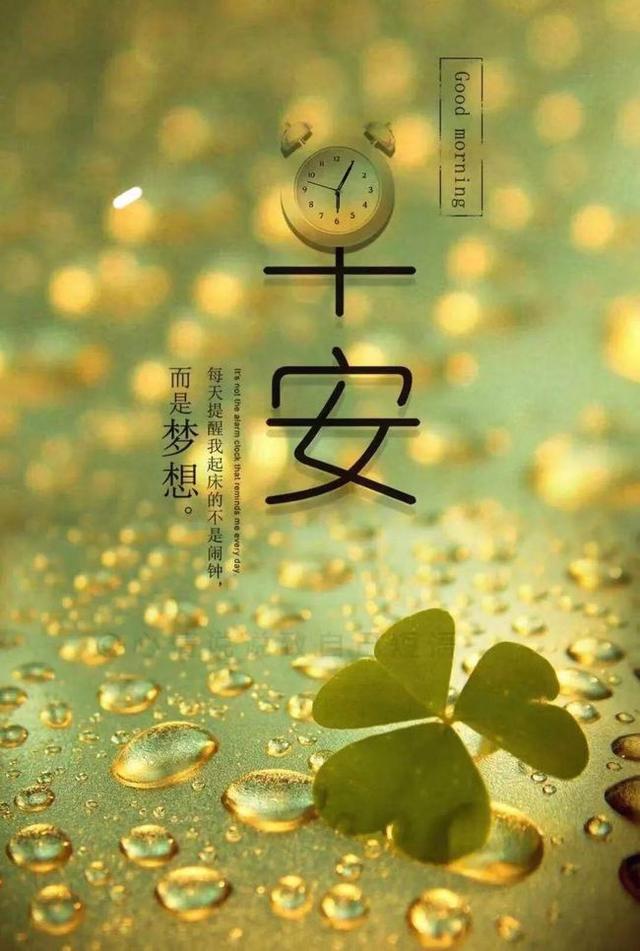 关于不负青春的励志句八字