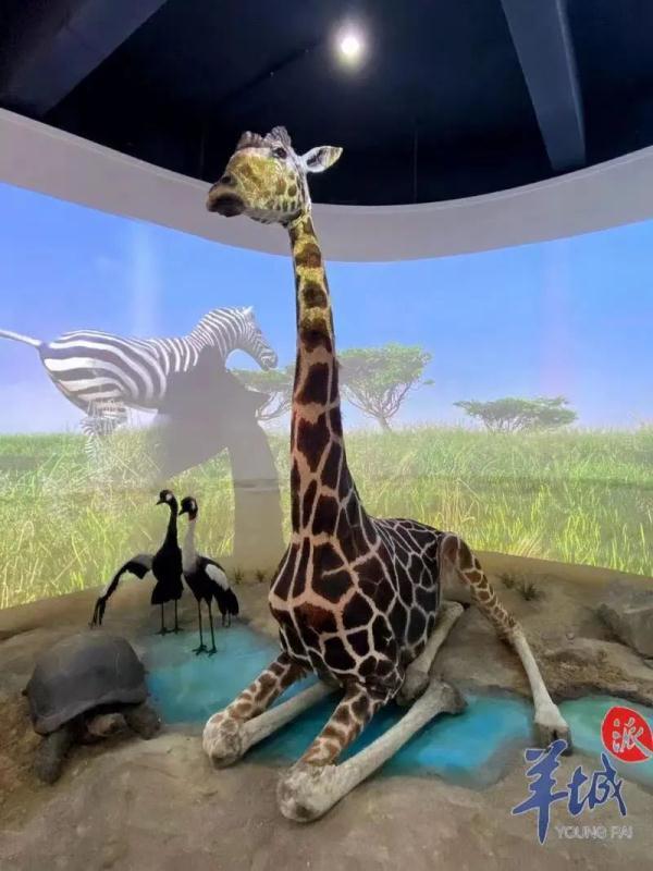 广州宝宝在线八字起名 广州宝宝在线八字起名