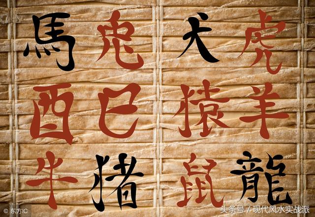 属猪和属猴的八字合不合