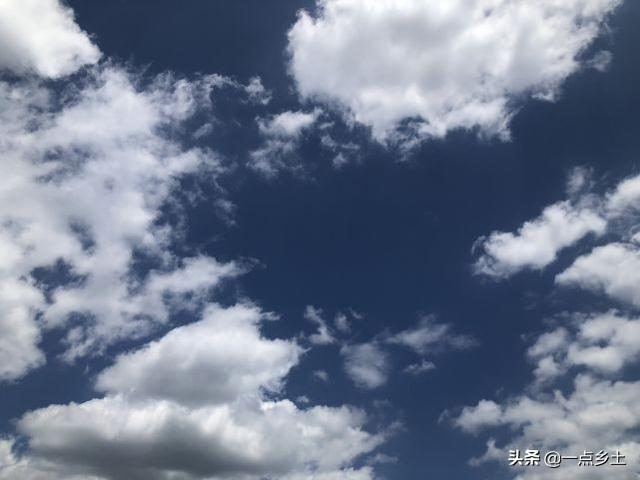 丙火日遇2022壬寅年运势视频 丙火日遇2022壬寅年运势视频
