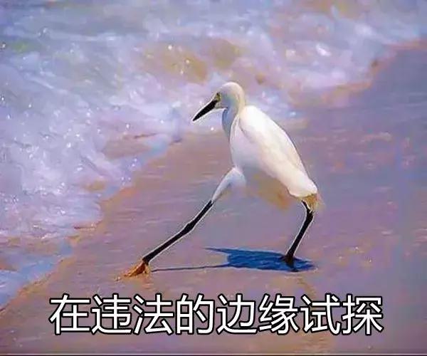 在线八字测试生男生女
