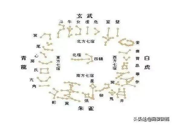 戊申女八字吧