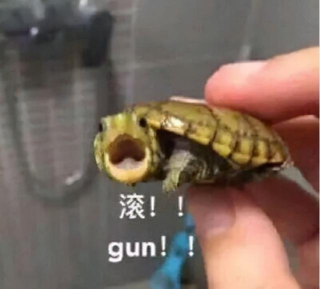 八字不好我结了冥婚在线听 八字不好我结了冥婚在线听