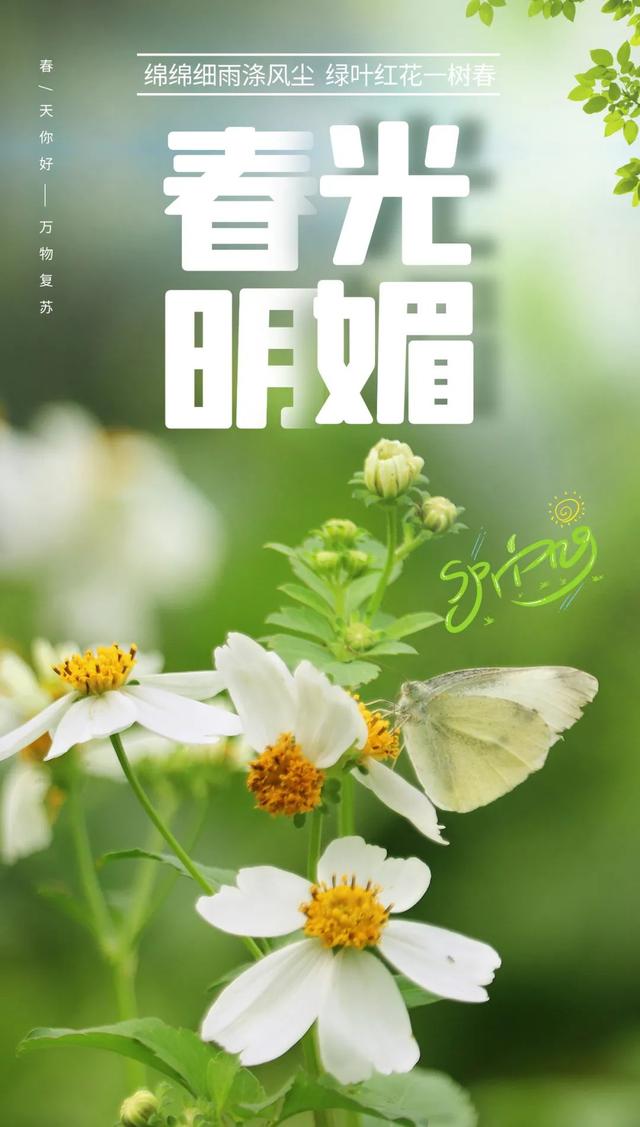 八字励志语句 八字励志语句