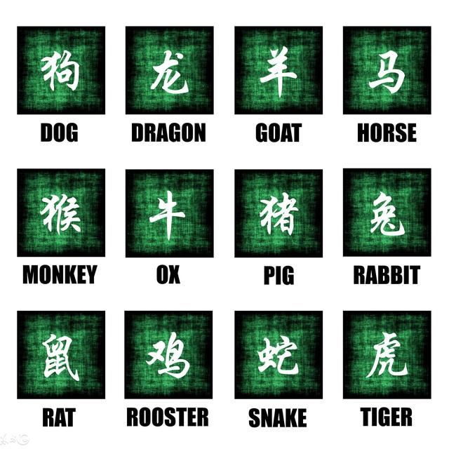 八字看配偶知乎
