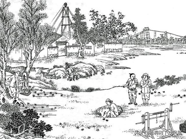 2022丁巳运势 2022丁巳运势
