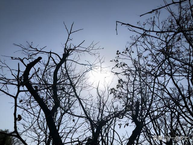 丙火日遇2022壬寅年运势视频 丙火日遇2022壬寅年运势视频