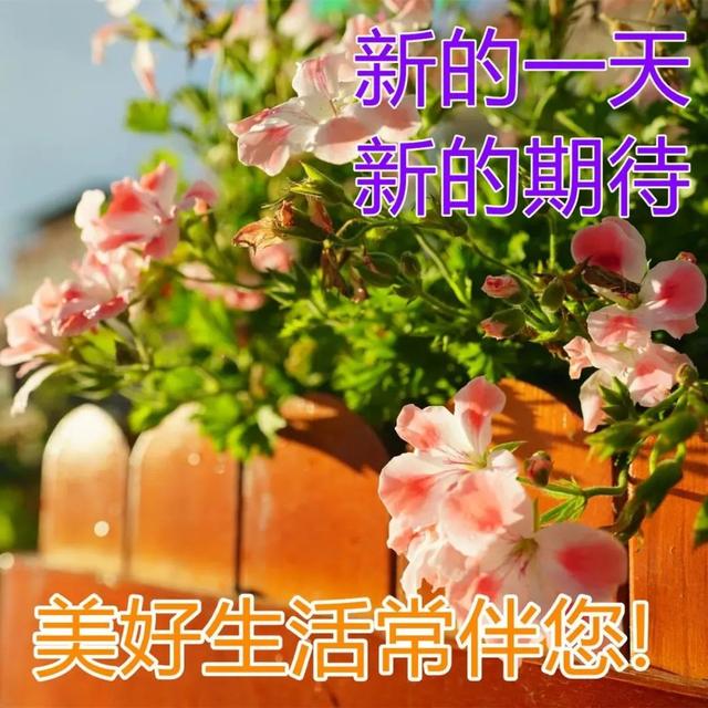 八字励志语句 八字励志语句
