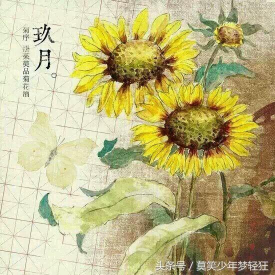 属狗的八字硬不硬