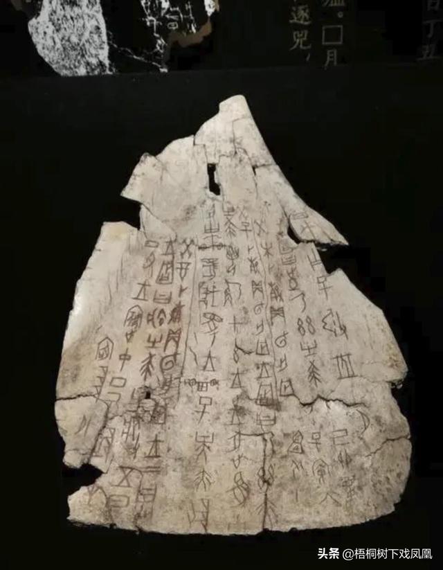 2022丁巳运势 2022丁巳运势