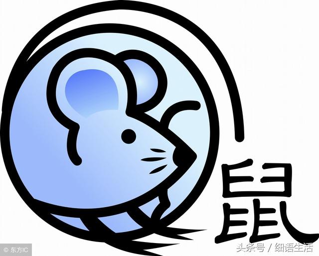 属鼠1996年10月初二八字 属鼠1996年10月初二八字